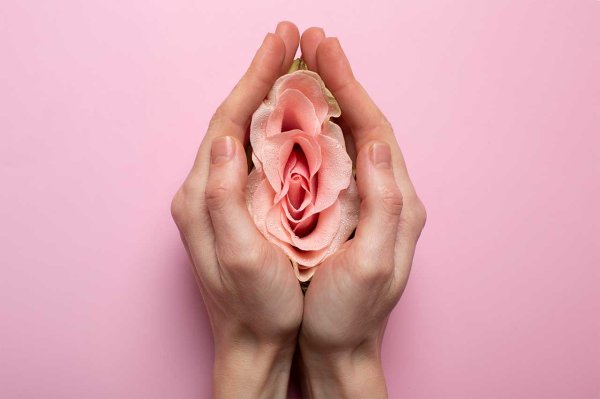 foto ilustrando palmas das mãos unidas com uma rosa em seu interior